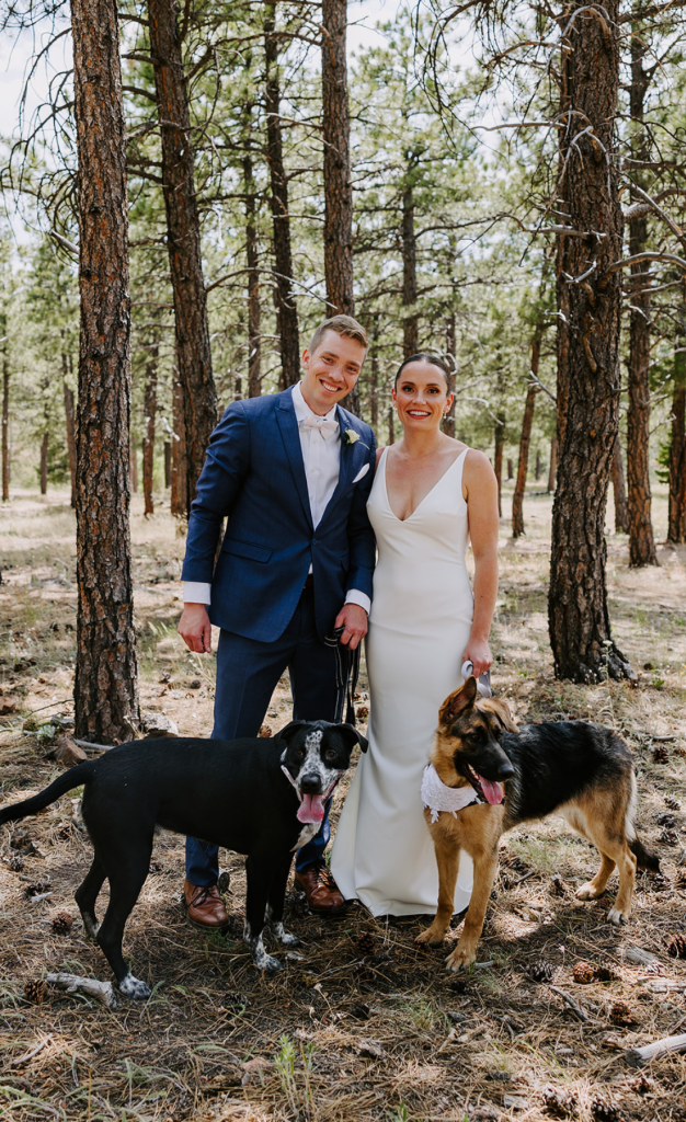 Bride and groom with two dogs