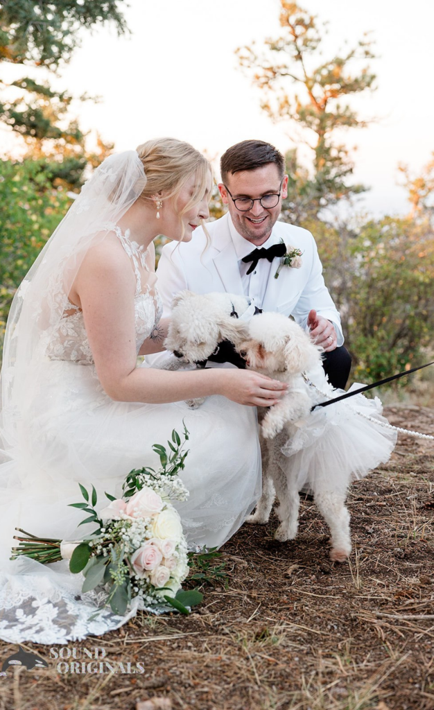 Bride and groom with two small white dogs